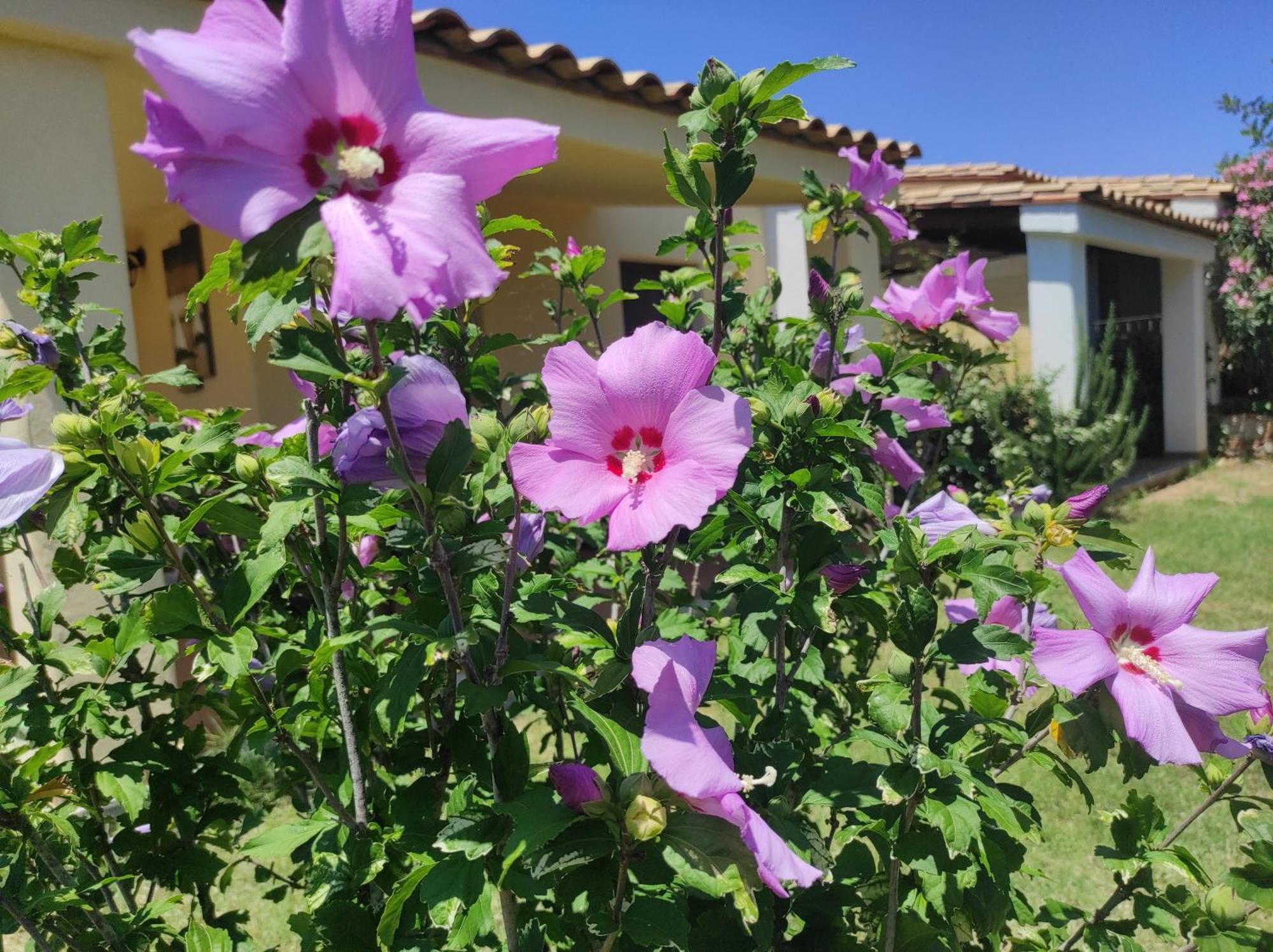 Sa Teria Village Tertenìa エクステリア 写真