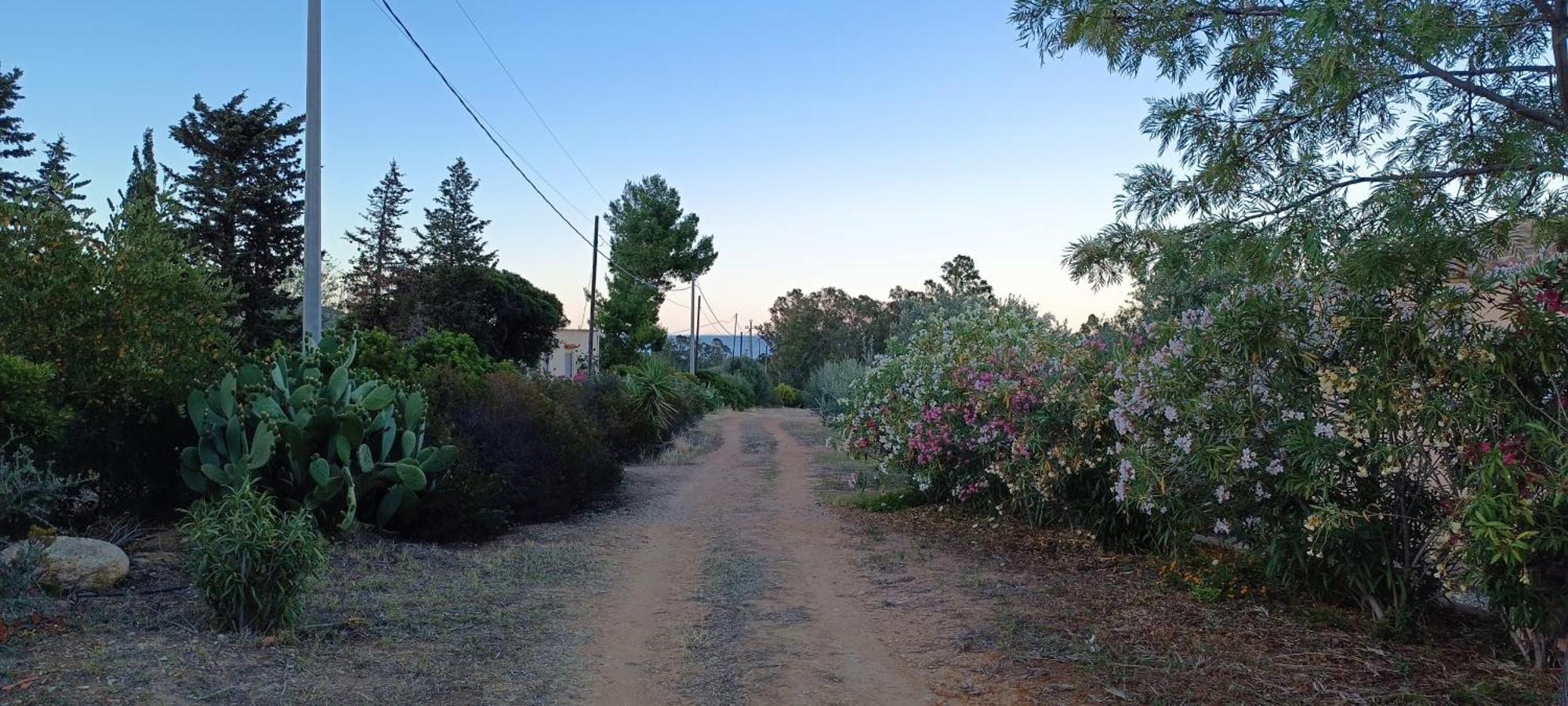 Sa Teria Village Tertenìa エクステリア 写真